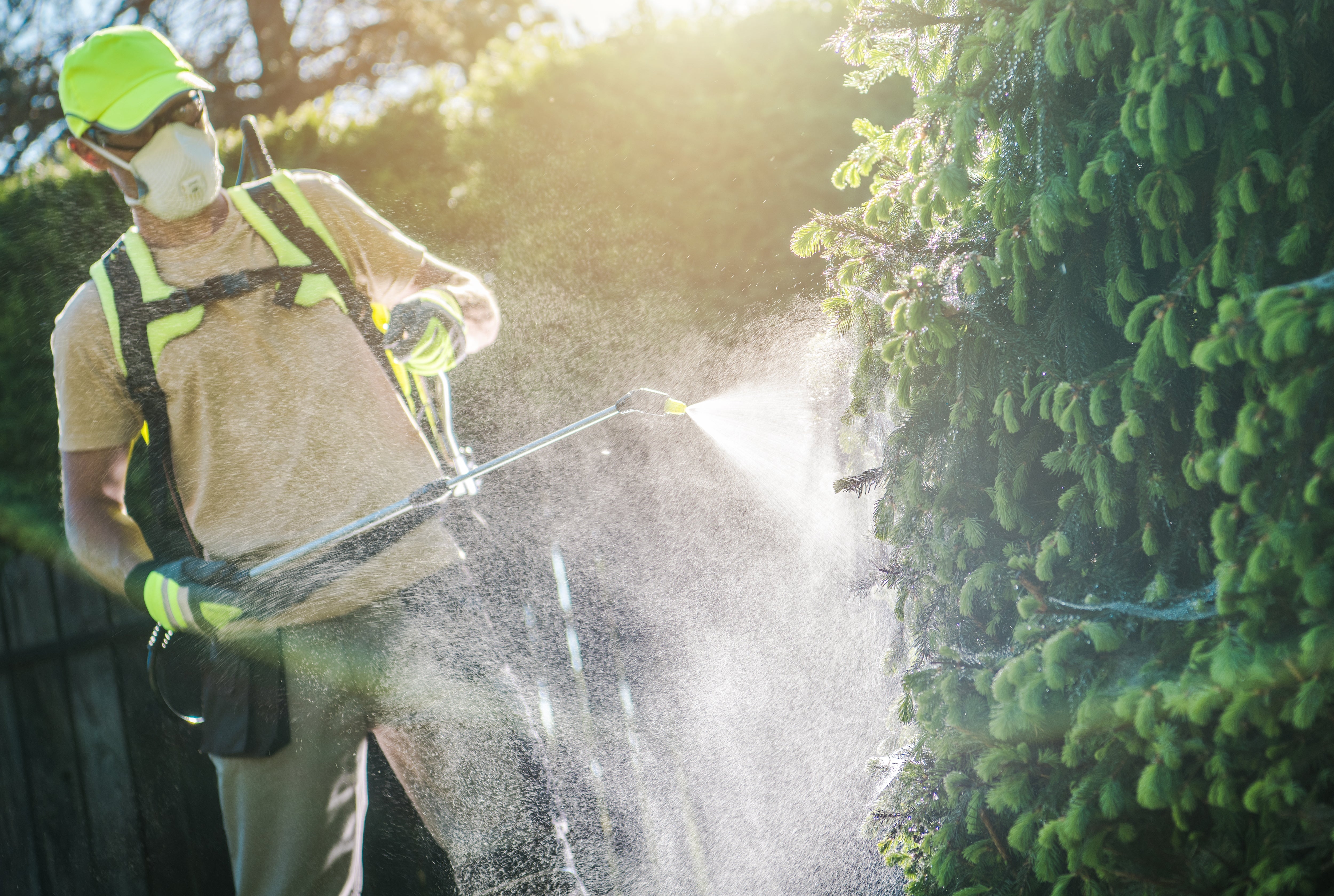Pesticide Safety 101: Why Labels Matter & How to Handle Chemicals Safely