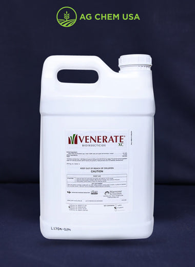 Venerate XC