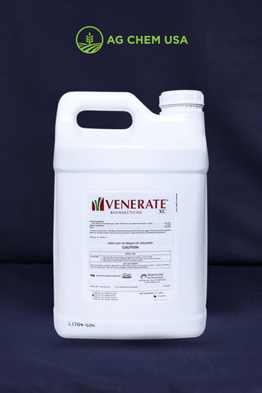 Venerate XC
